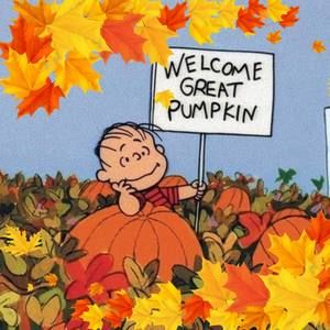 Meet your Posher, Cee